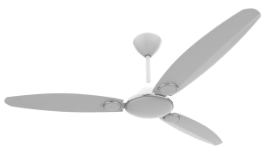 Fans